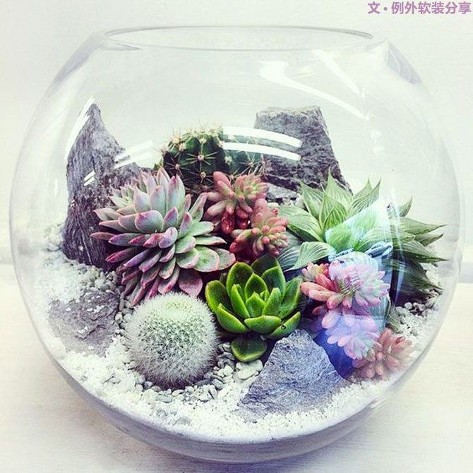 地球人都得了一種，看見“她”就想抱回家養(yǎng)的??！-別墅設計,軟裝設計,室內設計,豪宅設計,深圳例外軟裝設計公司